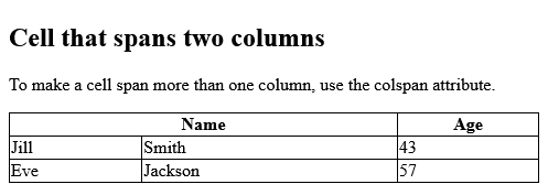 Full Example of HTML Table - Colspan