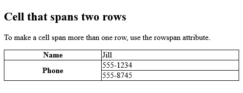 Full Example of HTML Table - Rowspan