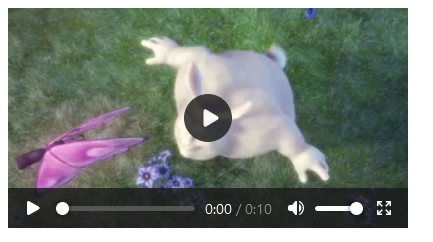 Example HTML Video Player on HTML5