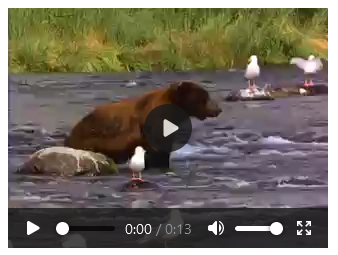 Full Example of HTML <video> player Autoplay
