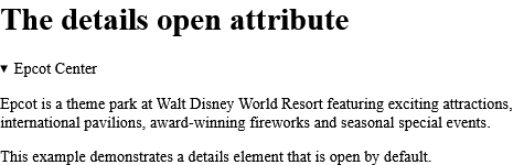 How to use An open/visible <details> element - HTML open Attribute