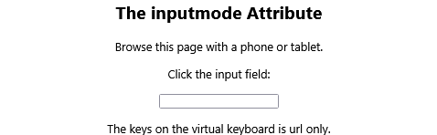How to Show only url keys on the (virtual) keyboard