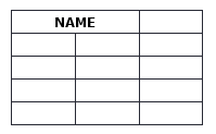 What is HTML Table Colspan