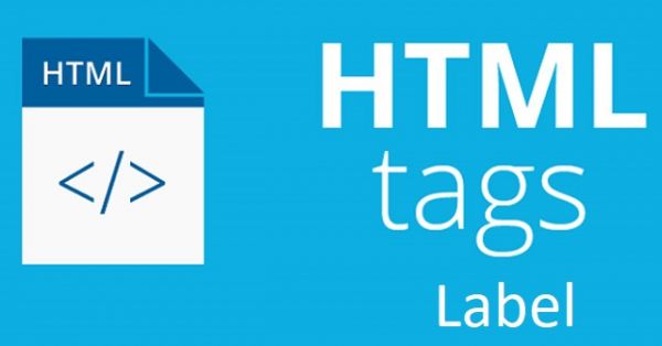 How to create The <label> Element