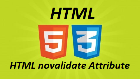 What is HTML novalidate Attribute